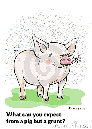 A series of postcards with a piglet. Proverbs and sayings. What can you expect from a pig but a grunt Vector Illustration