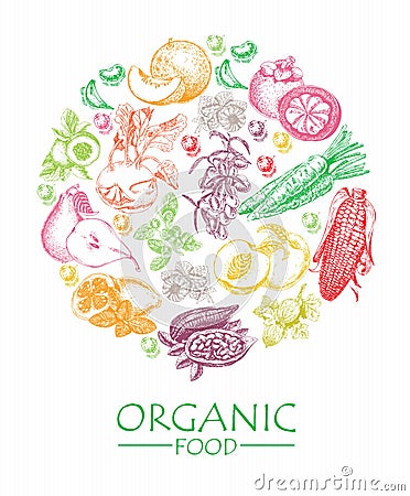 Series - vector fruit, vegetables and spices. Organic food. Set of vegetables, fruits and spices. Farm meal. Poster. Menu Vector Illustration