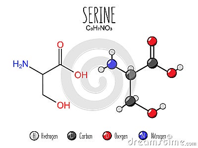 Serine amino acid representation. Vector Illustration