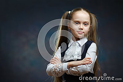 Serious Calm Girl Ponytail Hairstyle Portrait Stock Photo