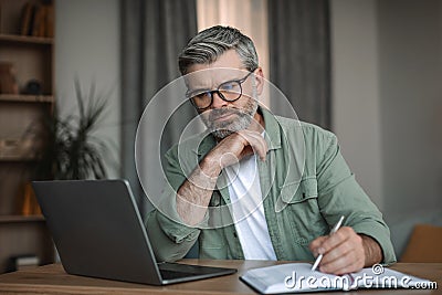 Serious caucasian male with beard in glasses looks at laptop have video call, study in living room interior Stock Photo