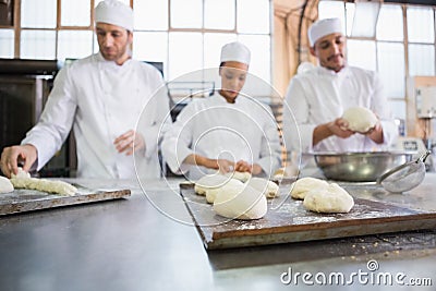 Serious colleagues kneading uncooked dough Stock Photo
