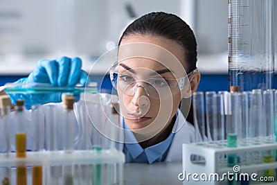 Serious cute biologist working with the vials focusing on it. Stock Photo
