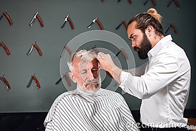 Serious hardworking stylist concentrated on brushing his client`s hair Stock Photo