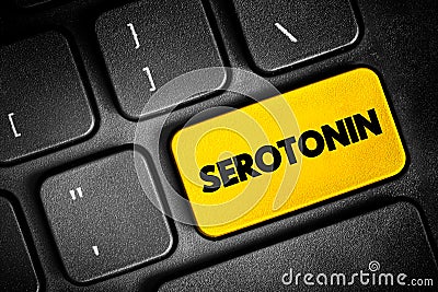Serotonin is a chemical that carries messages between nerve cells in the brain and throughout your body, text button on keyboard, Stock Photo