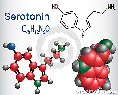 Serotonin molecule, is a monoamine neurotransmitter. Structural Vector Illustration