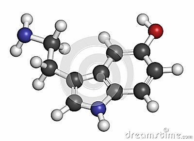 Serotonin neurotransmitter molecule. Atoms are represented as spheres with conventional color coding: hydrogen (white), carbon ( Stock Photo