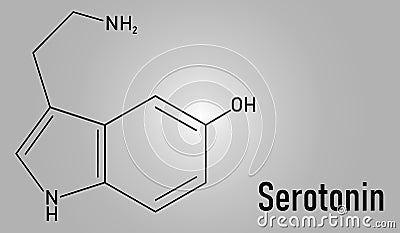 Serotonin neurotransmitter molecule. Skeletal formula. Chemical structure Vector Illustration