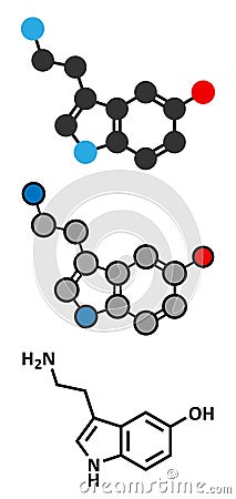 Serotonin neurotransmitter molecule. Stylized 2D renderings and conventional skeletal formula Vector Illustration