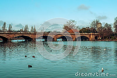 Serpentine River in Hyde Park in London, United Kingdom Stock Photo