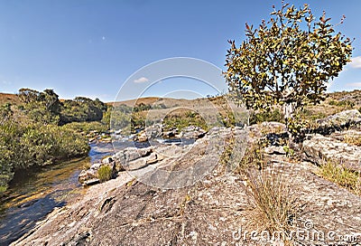 Serra da Canastra National Park Stock Photo