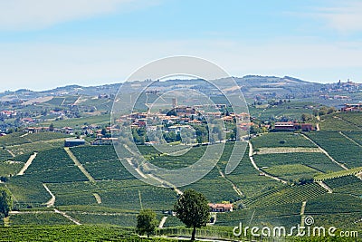 Serralunga Alba town with castle and vineyards in Italy Stock Photo