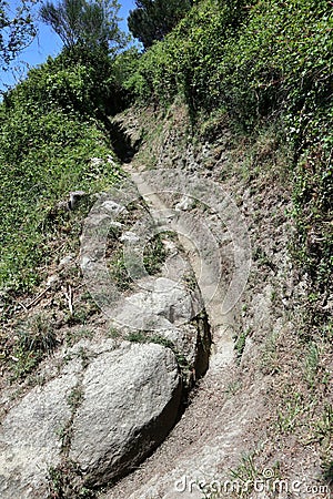 Serrara Fontana - Sentiero che sale sul Monte Epomeo Stock Photo