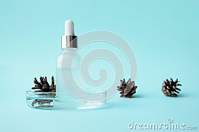 Serum in glass bottle with pipette in petri dish and pine cone on blue background and copy space. Concept skincare dermatology Stock Photo