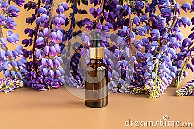 Serum in unbranded brown glass bottle with pipette and blue purple lupine flowers on brown golden background. Cosmetic bottle Stock Photo