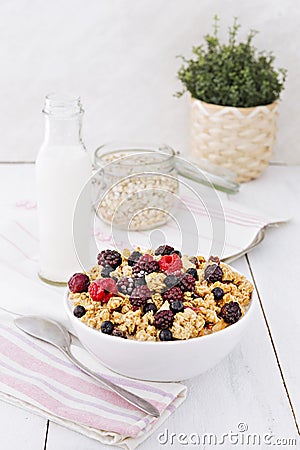 Muesli with berries. Stock Photo