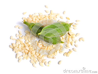 Sesame green pods with seed isolated on white background Stock Photo