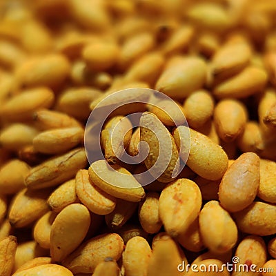 Sesame Macro photography with Skyvik signi 25mm Stock Photo