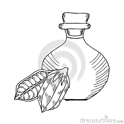 Sesame oil bottle, nuts 2 Vector Illustration