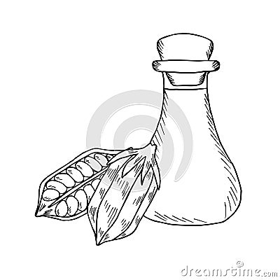 Sesame oil bottle, nuts 3 Vector Illustration