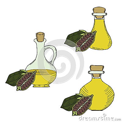 Sesame oil bottle, nuts, set in color 1 Vector Illustration