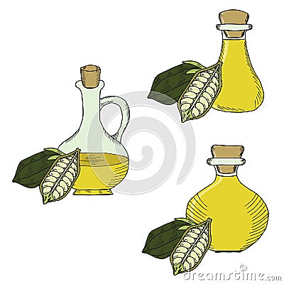 Sesame oil bottle, nuts, set in color 2 Vector Illustration