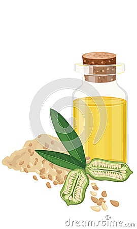 Sesame Oil, seeds, fruit, leaf, Vecctor illustration Vector Illustration