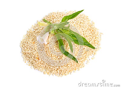 Sesame plant with flowers and seed isolated on white background Stock Photo