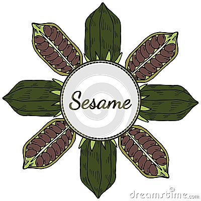 Sesame, Round frame in color 4 Vector Illustration