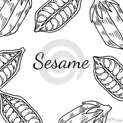 Sesame, Square banner Vector Illustration