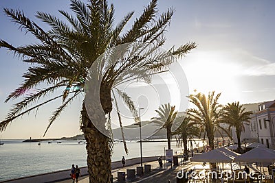 Palm trees on coastal promenade along sandy beach in Sesimbra Editorial Stock Photo