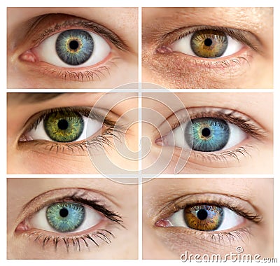 Set of 6 Real Different Open Eyes / Huge Size Stock Photo