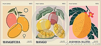 Set of abstract Fruit Market Mango retro posters. Vector Illustration