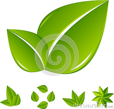 Set of abstract green leaf Vector Illustration