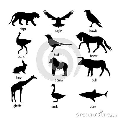 Set of abstract silhouettes of mammals. Vector Illustration