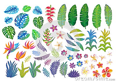 Set of abstract tropical plants, flowers, leaves. Vector design isolated elements. Wildlife colorful floral jungle Vector Illustration