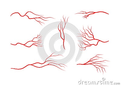 Set of abstract veins, blood vessels, arteries, capillaries. Vector Illustration