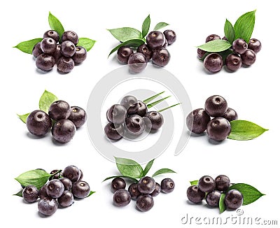 Set with acai berries and green leaves Stock Photo