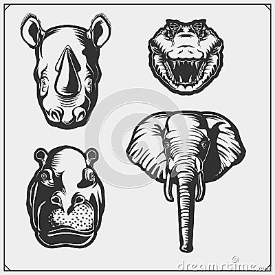 Set of african and jungle animals. Crocodile, hippo, elephant and rhino. Vector Illustration