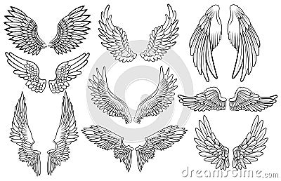 Set of angel wings. Wings collection with feathers. Black white vector illustration. Tattoo. Vector Illustration