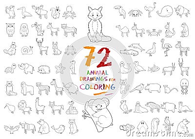 Set of 72 Animal Drawings for Coloring Vector Illustration