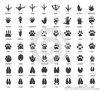 Set of animal tracks Vector Illustration