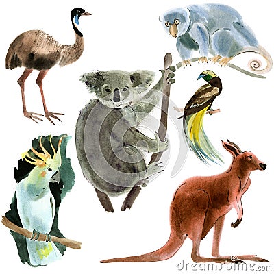 Set of animals Australia. Watercolor illustration in white background. Cartoon Illustration