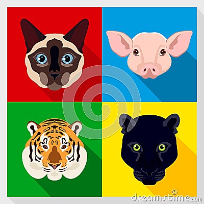 Set of animals with Flat Design. Symmetrical portraits of animals. Vector Illustration. siamese, cat, panther, tiger, pig. Vector Illustration