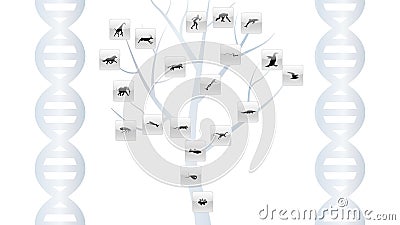 Evolution tree illustration Vector Illustration