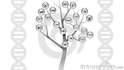 Evolution tree illustration Vector Illustration