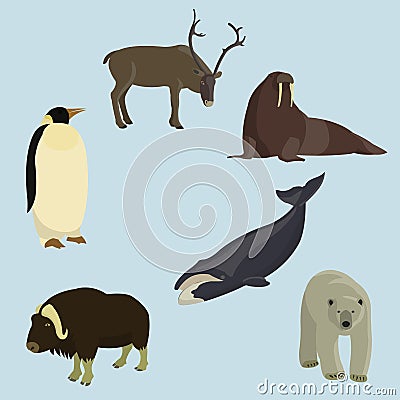 Set of animals of the north Vector Illustration