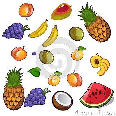 Set of appetites tropical fruites Vector Illustration