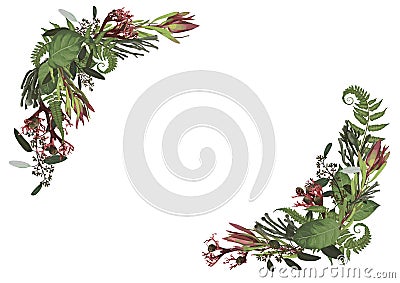 Set of arc, wreath. Greenery and leaves, branches, brunia, blooming eucalyptus, leucadendron, gaultheria, salal, jatropha. Floral Vector Illustration