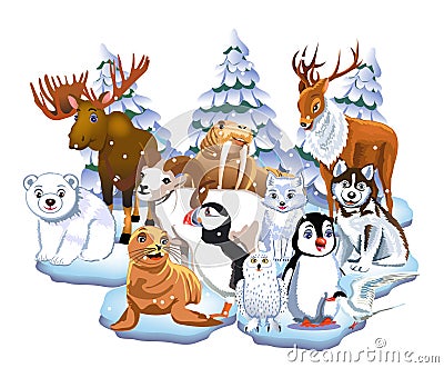 Set of arctic animals like seal, walrus, moose, reindeer, penguin, polar bear, fox Vector Illustration